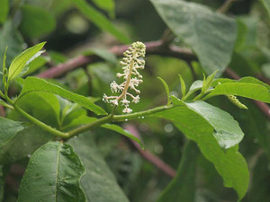 P7048406