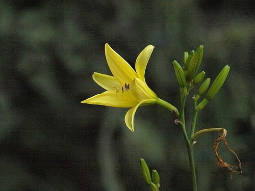 P7058439