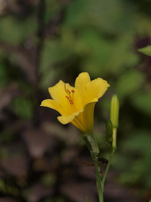 P7068476