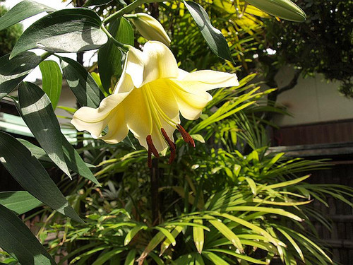 P7068482
