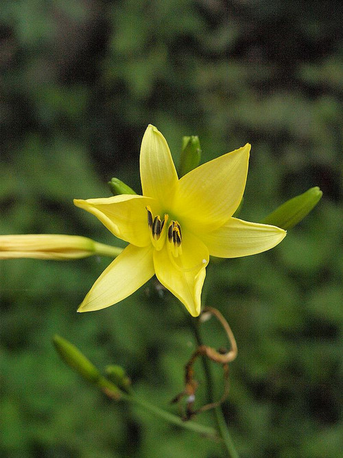 P7068504