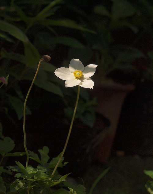 P7088578