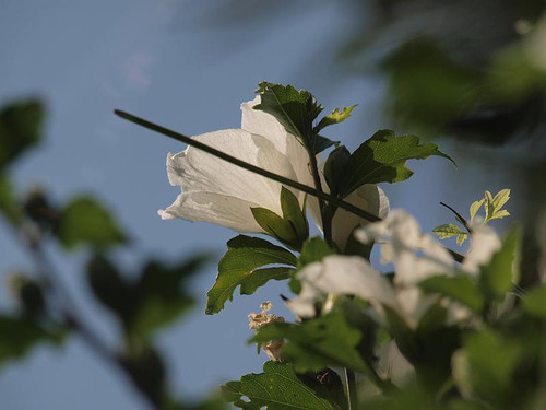 P7088581