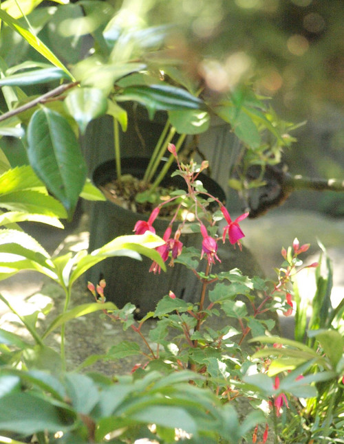 P7088594