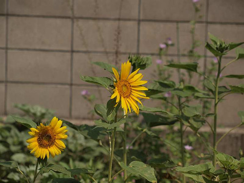 P8050755