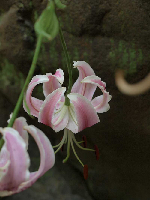 P8110972