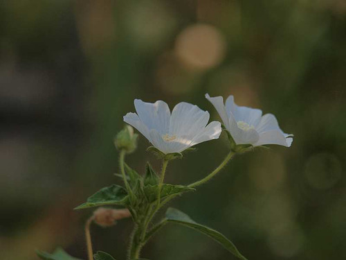 P8181304