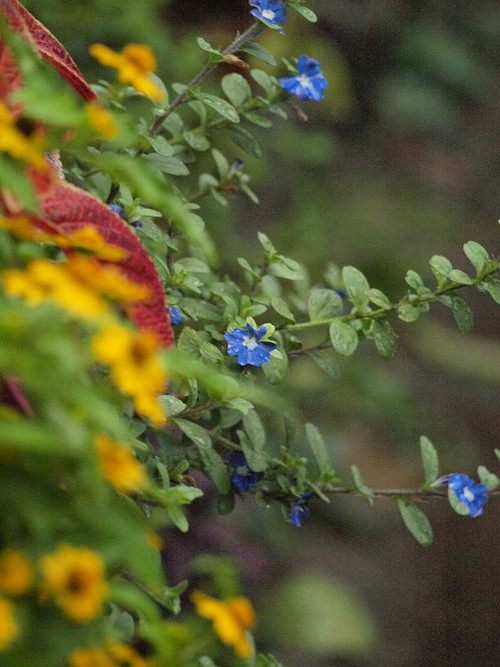 P9012176