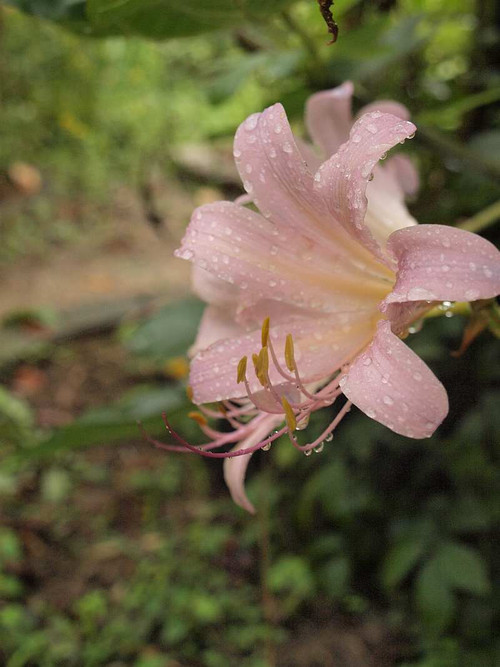 P9012204