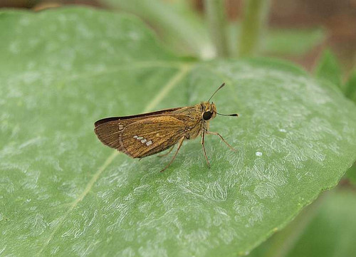P9012210