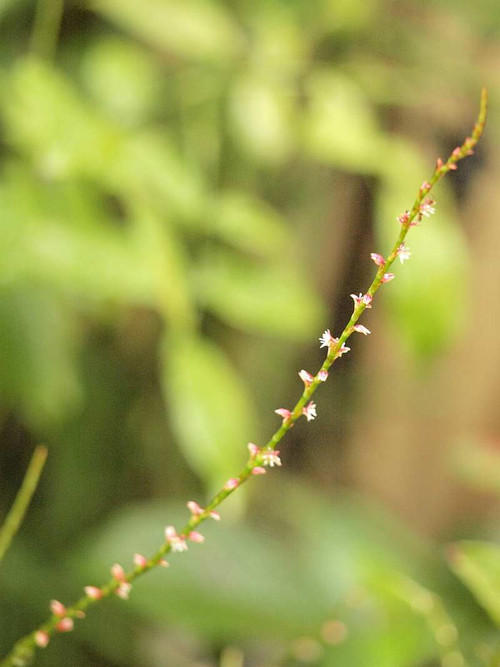 P9022225