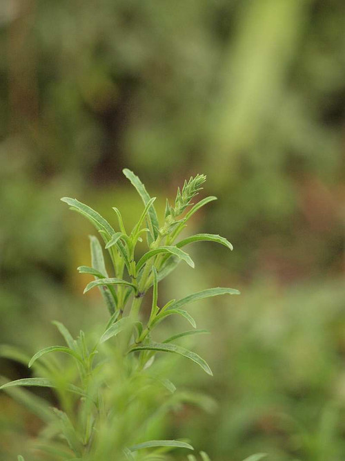 P9022233