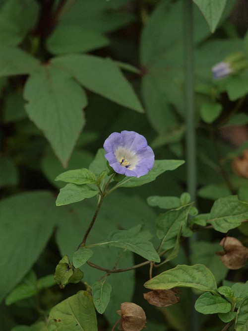 P9022267