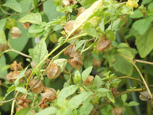 P9022269