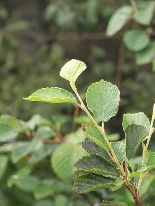 P9032283