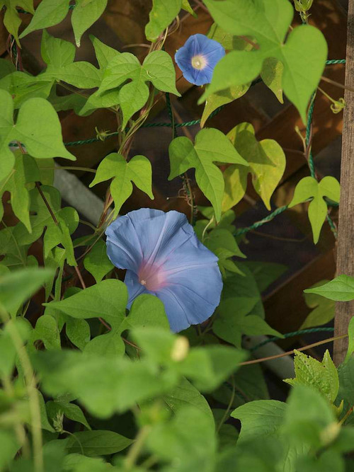 P9032289