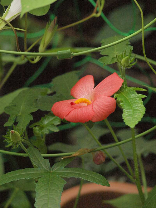 P9032328