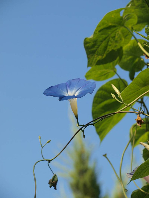 P9102766