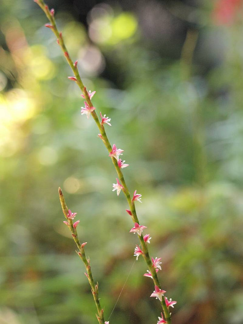 P9102776