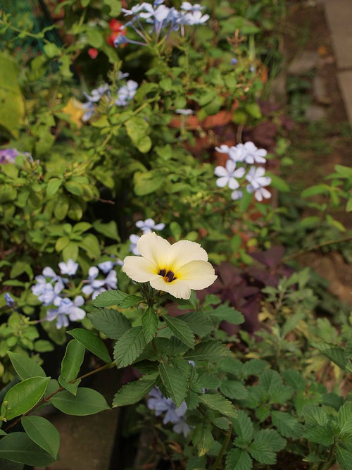 P9112820