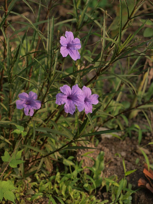 P9122860