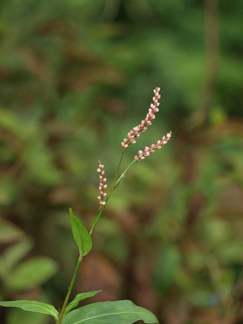 P9122890