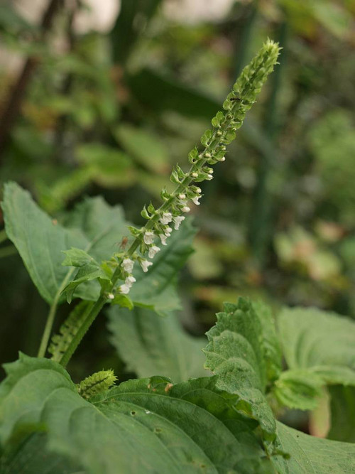 P9143028