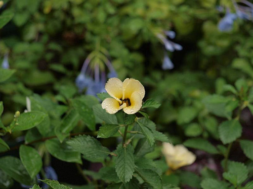P9153061