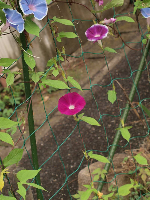 P9163083