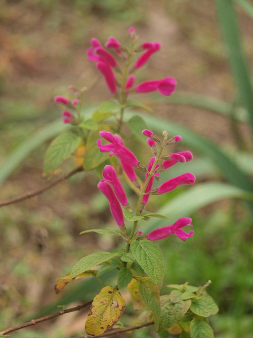 P1049668