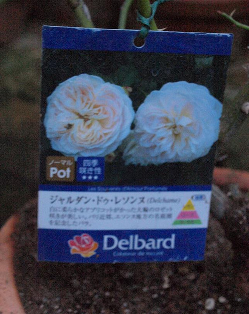 P1059762