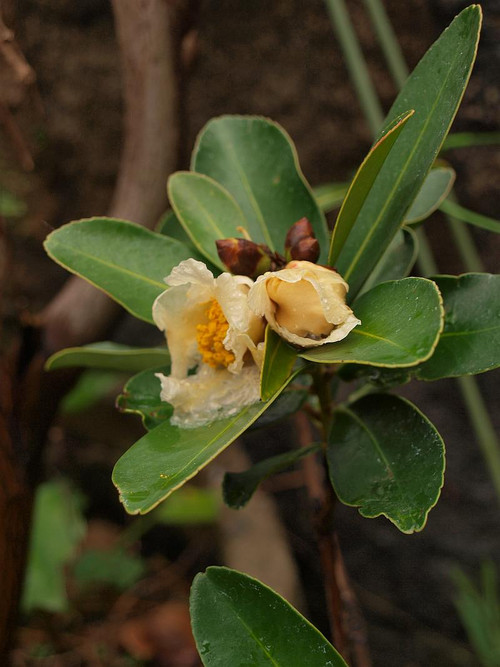 P1089814