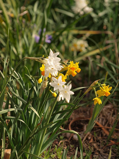 P3033167