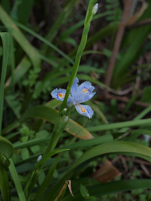 P4046055