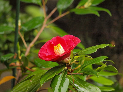 P5059764