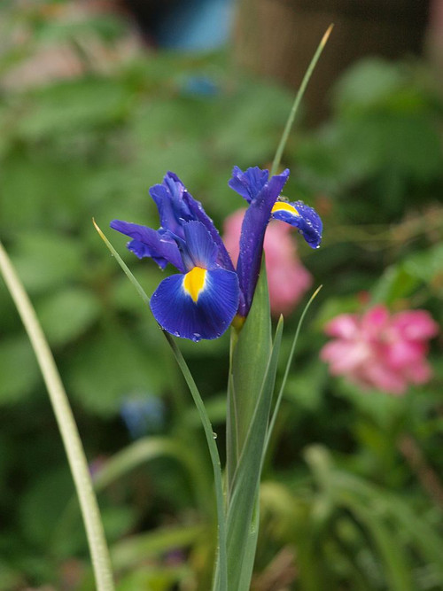 P5059765