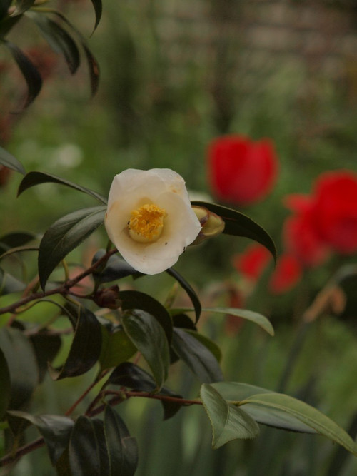 P4042046