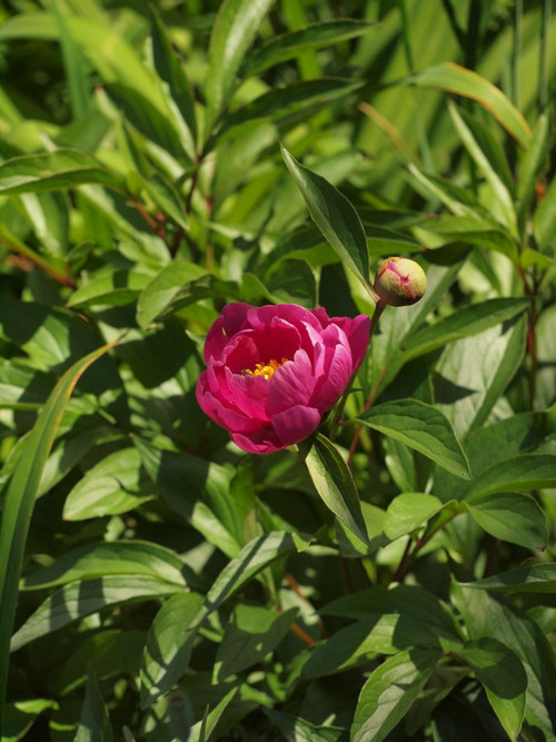 P5056343