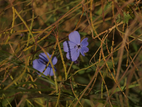 P5056377