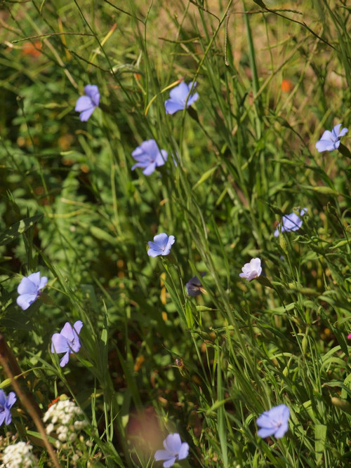 P5056379