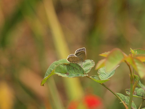 Pa105973