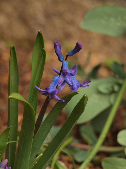 P3030498
