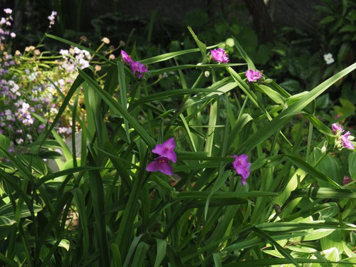 P5056219