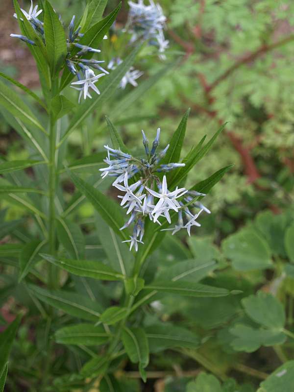 P5056411